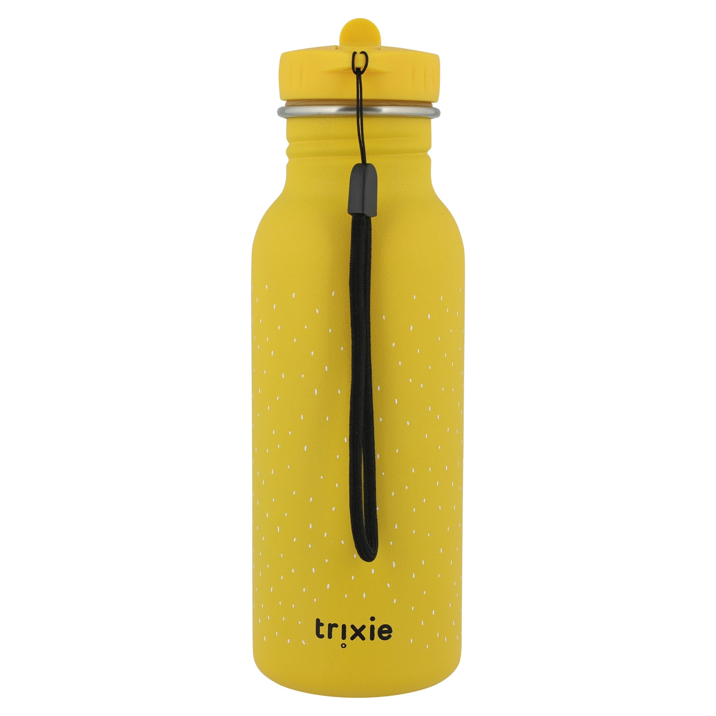 Trinkflasche 500ml - Mr. Lion