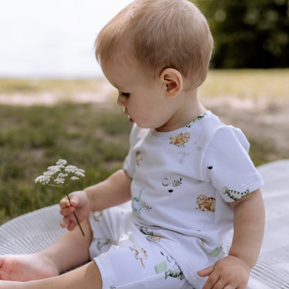 Sommer Dino Set für Baby und Kind