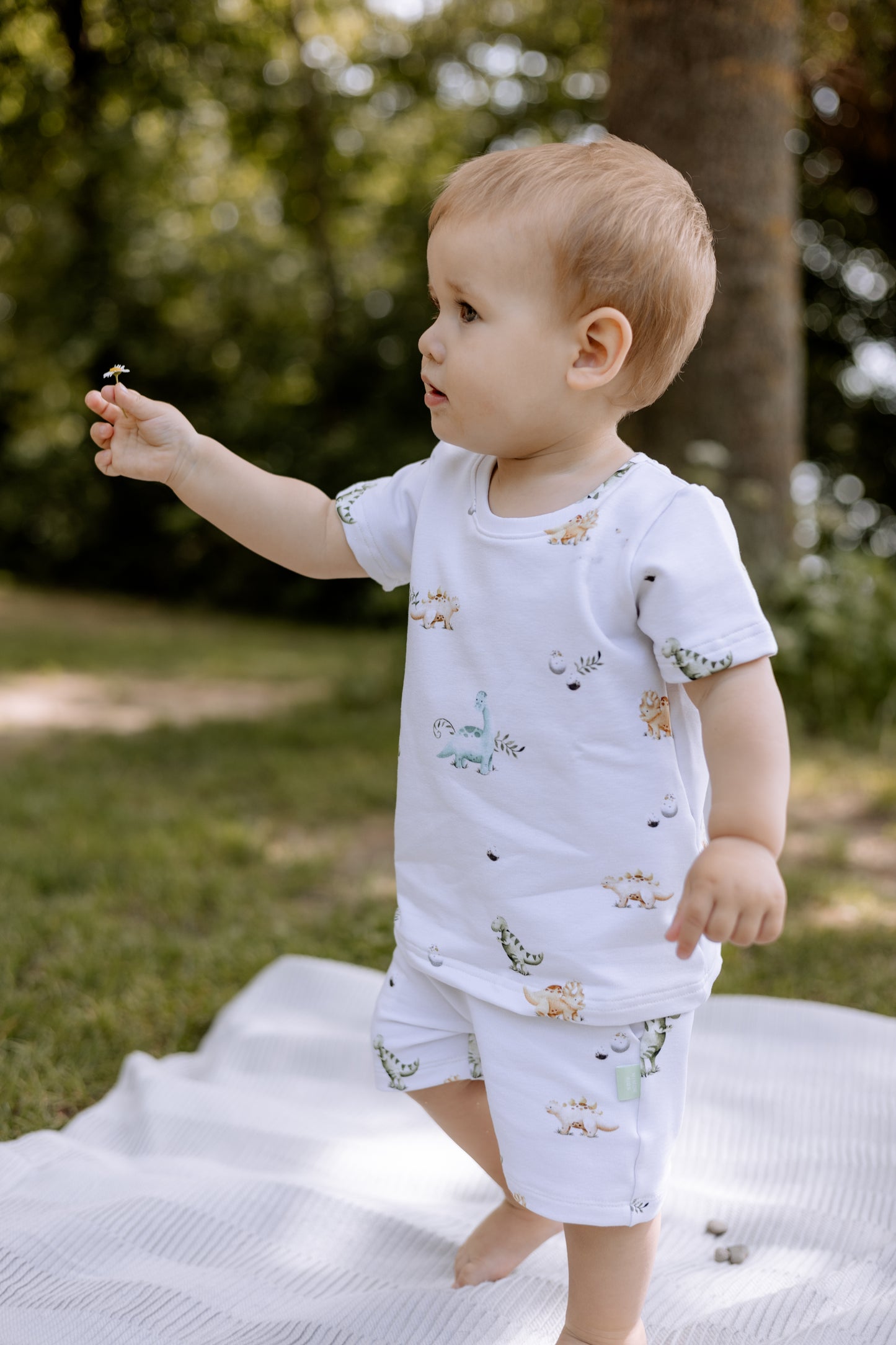 Sommer Dino Set für Baby und Kind