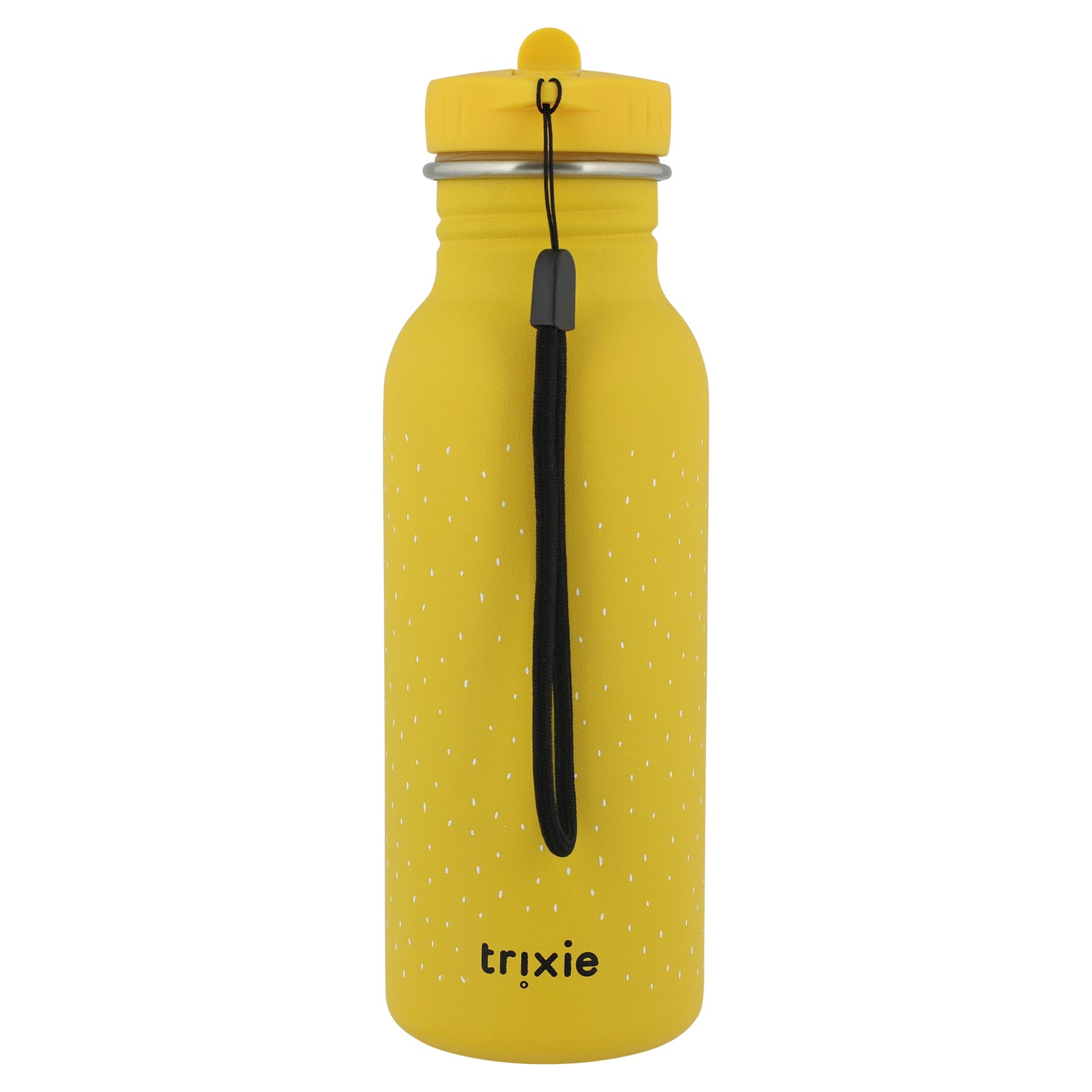 Drinking bottle 500ml - Mr. Dino